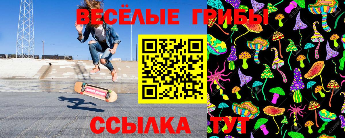 Псилоцибиновые грибы GOLDEN TEACHER Новодвинск